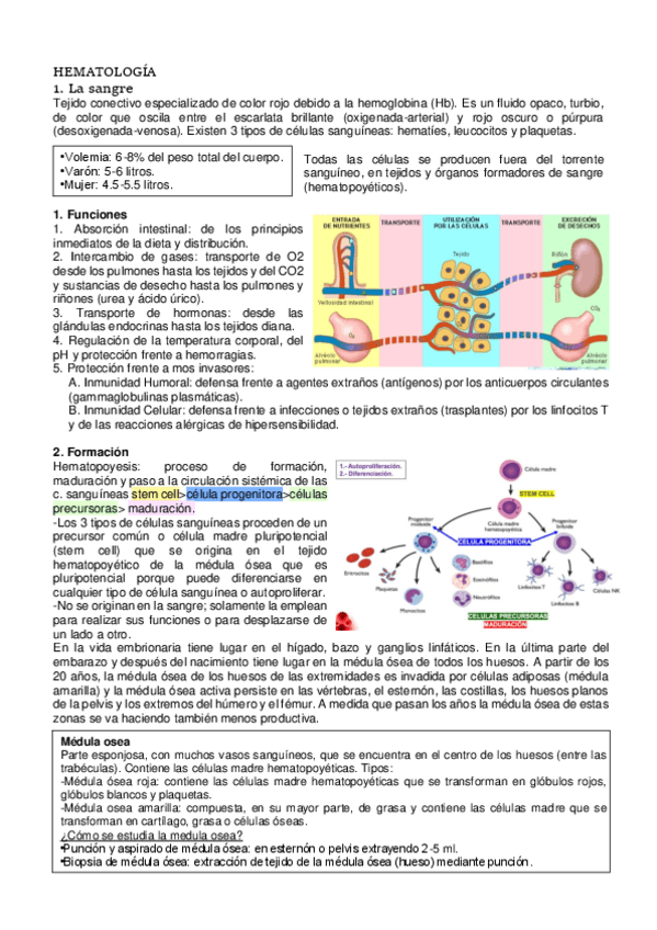 Miniatura del documento HEMATOLOGIA.pdf
