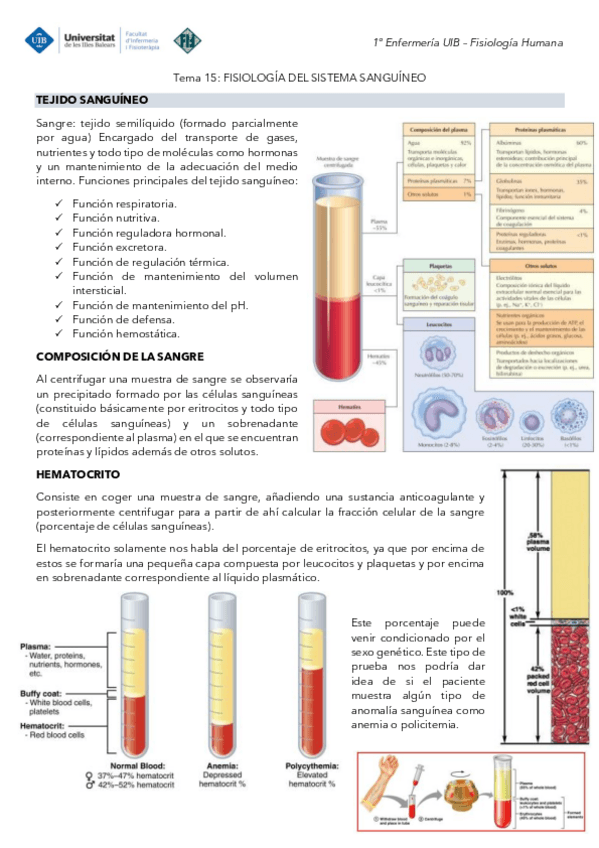 Miniatura del documento Tema-15-Fisiologia-Sistema-sanguineo.pdf