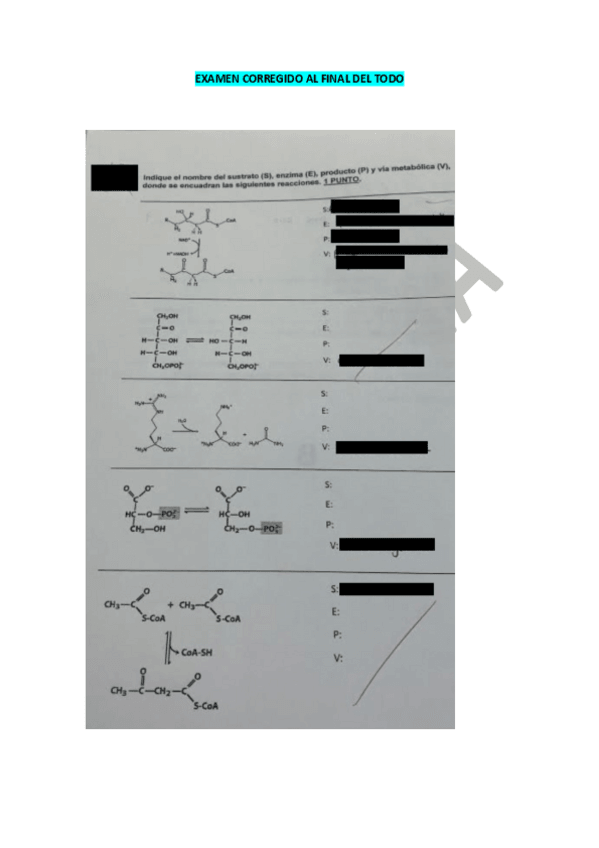 Miniatura del documento EXAMEN-CORREGIDO-PREVIO-BQII.pdf