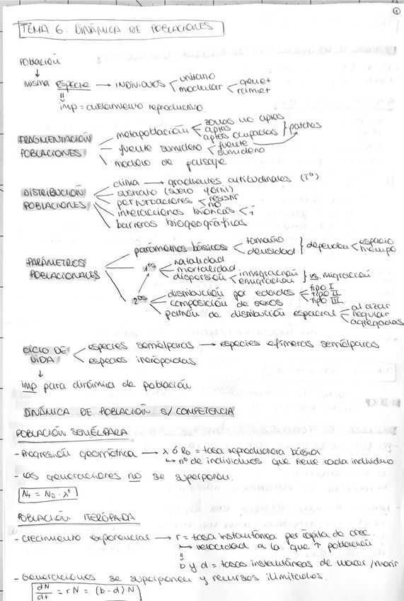 Miniatura del documento Resumenes.pdf