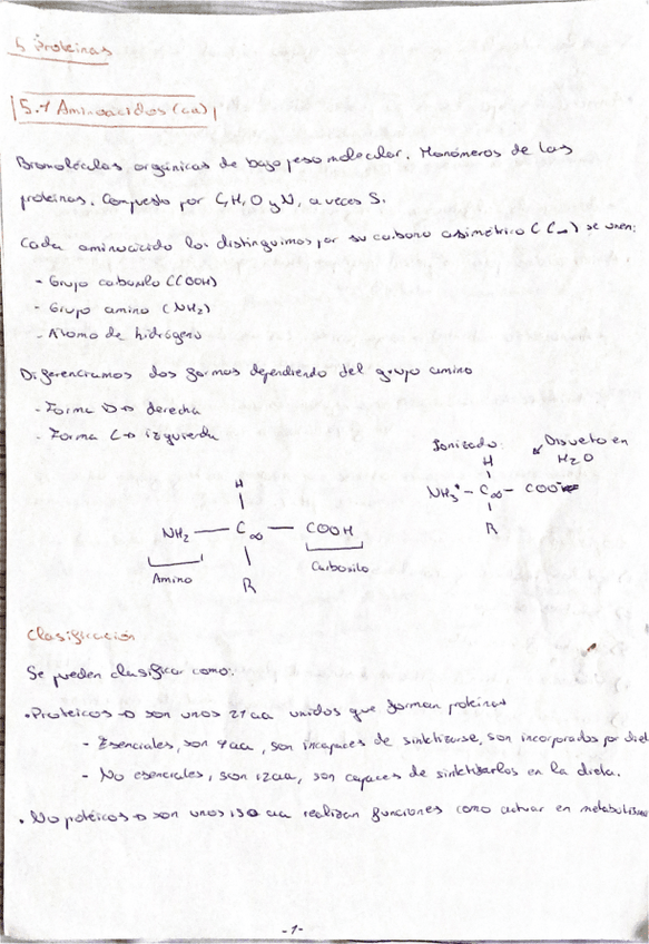 Miniatura del documento TEMA-6-PROTEINAS-.pdf
