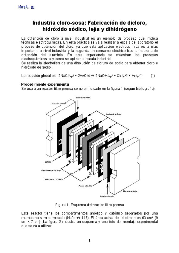 Miniatura del documento Practica-CLORO-SOSA.pdf