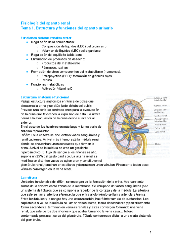 Miniatura del documento Fisiologia.pdf