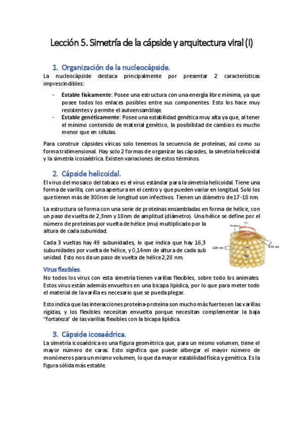 Miniatura del documento Lección 5. Simetría de la cápside y arquitectura viral (I)..pdf