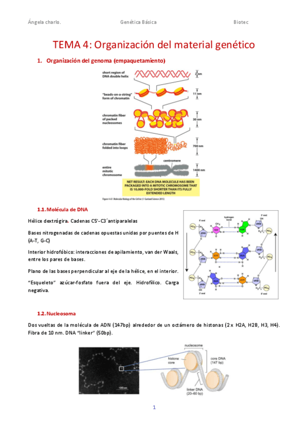 Miniatura del documento TEMA-4.pdf
