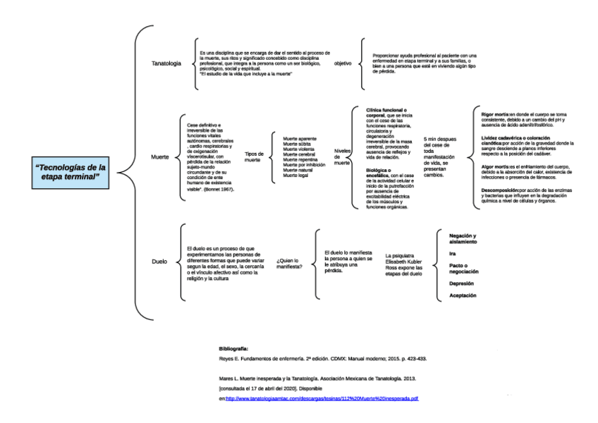 Miniatura del documento Mapa-tecnologias-de-la-etapa-terminal.pdf