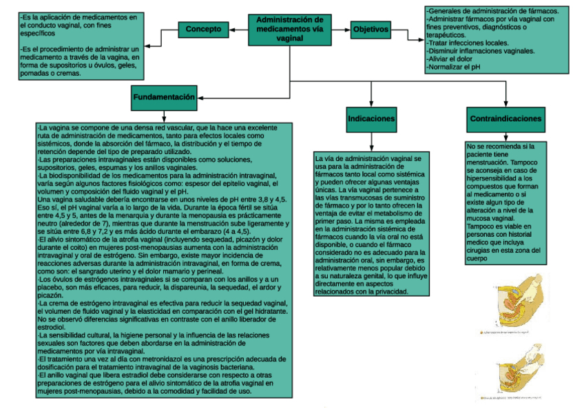 Miniatura del documento Mapa-administracion-de-medicamentos-via-vaginal.pdf