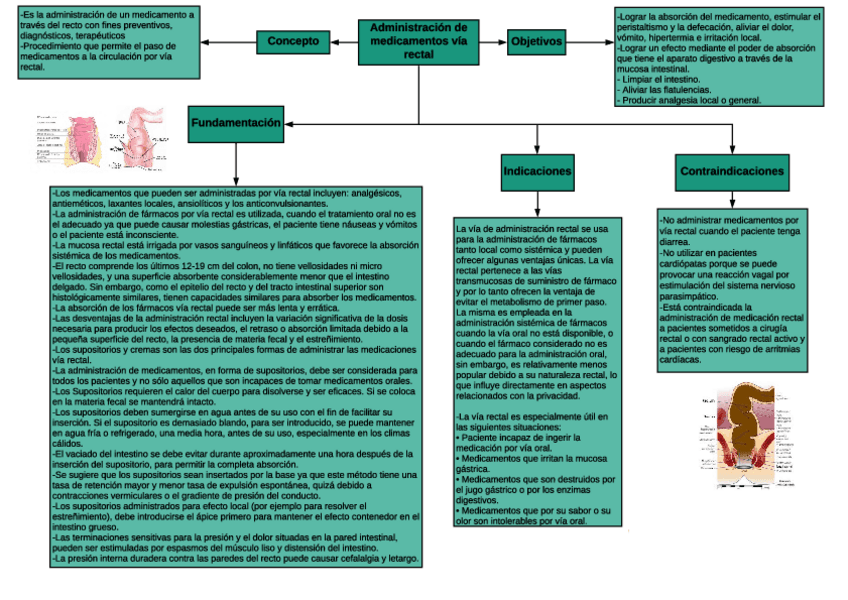 Miniatura del documento Mapa-administracion-de-medicamentos-via-rectal.pdf
