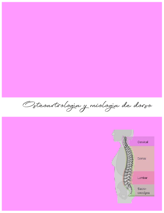 Miniatura del documento dorso-1.pdf