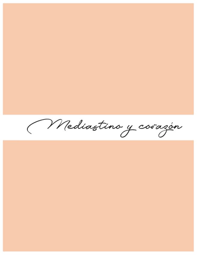 Miniatura del documento Corzaon-y-mediastino.pdf