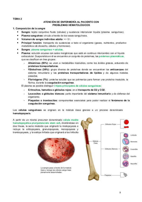 Miniatura del documento Tema 2. Hematología
