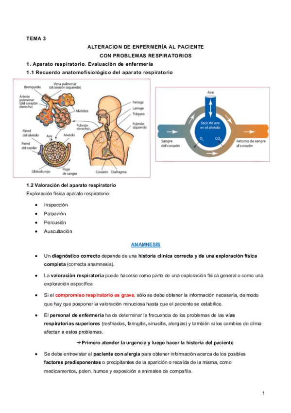Miniatura del documento Tema 3. Respiratorio