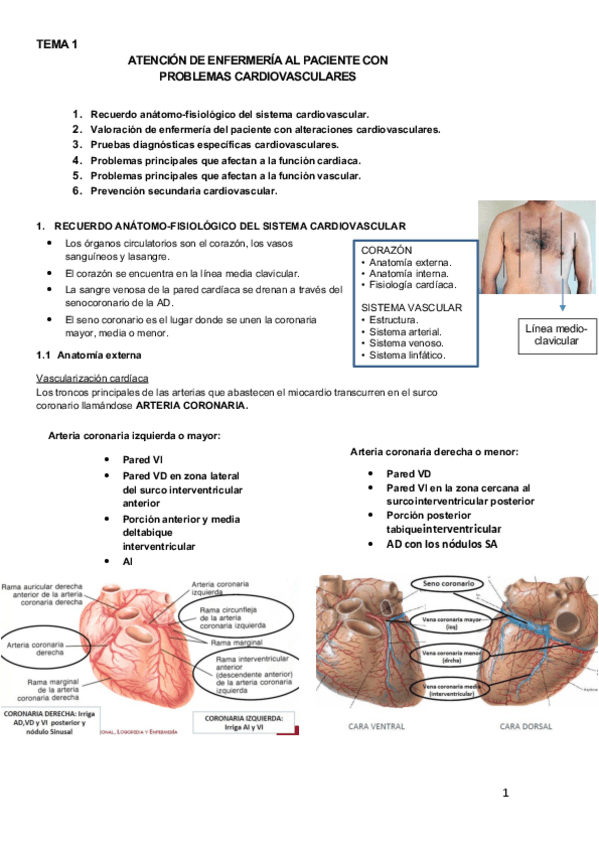 Miniatura del documento Tema 1. Cardiología