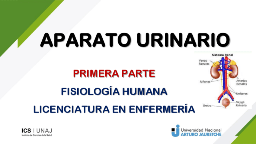 Miniatura del documento RENAL.pdf