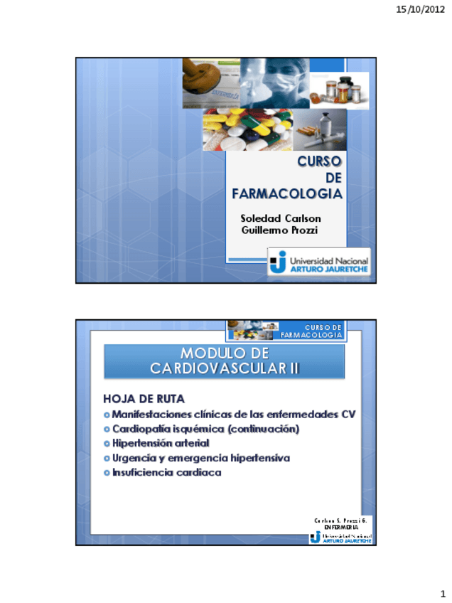 Miniatura del documento CV2.pdf