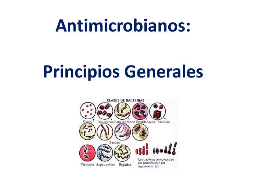 Miniatura del documento Antimicrobianos.pdf
