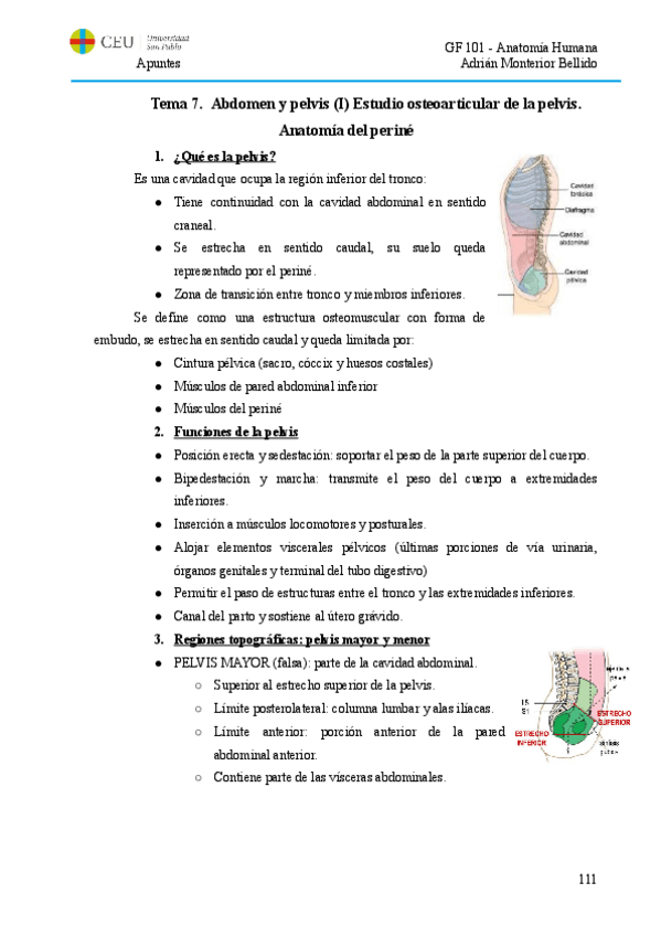 Miniatura del documento T7.PI. Anatomía del periné.pdf