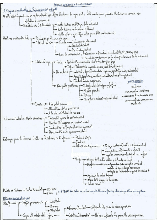 Miniatura del documento Apuntes.pdf