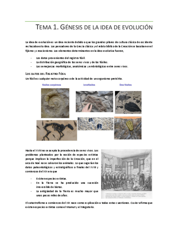 Miniatura del documento Paleo Completo.pdf