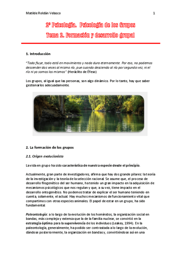 Miniatura del documento Tema-2-Psicologia-de-los-Grupos.pdf