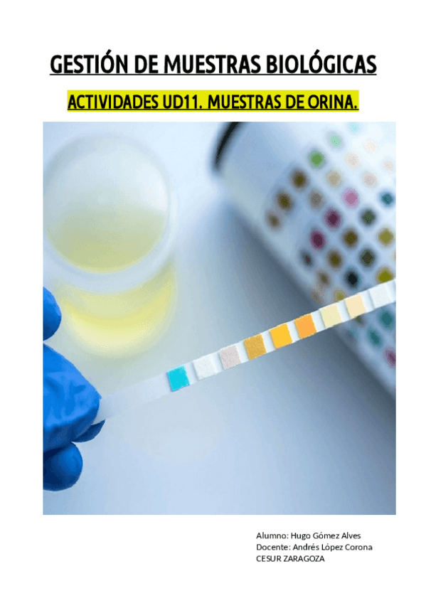 Miniatura del documento ACTIVIDADES-UD11.pdf