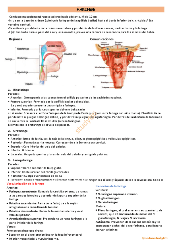 Miniatura del documento FARINGE.pdf