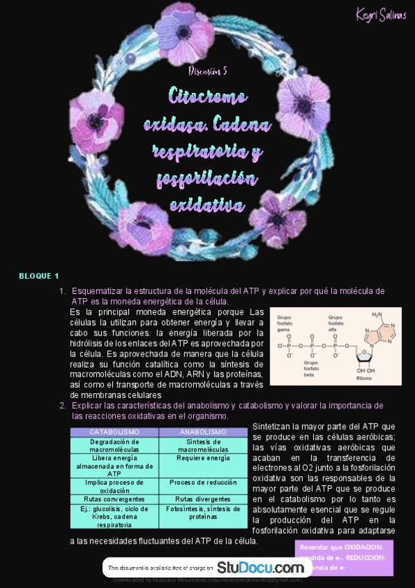 Miniatura del documento Cadena-transportadora-de-electrones-y-fosforilacion-oxidativa.pdf