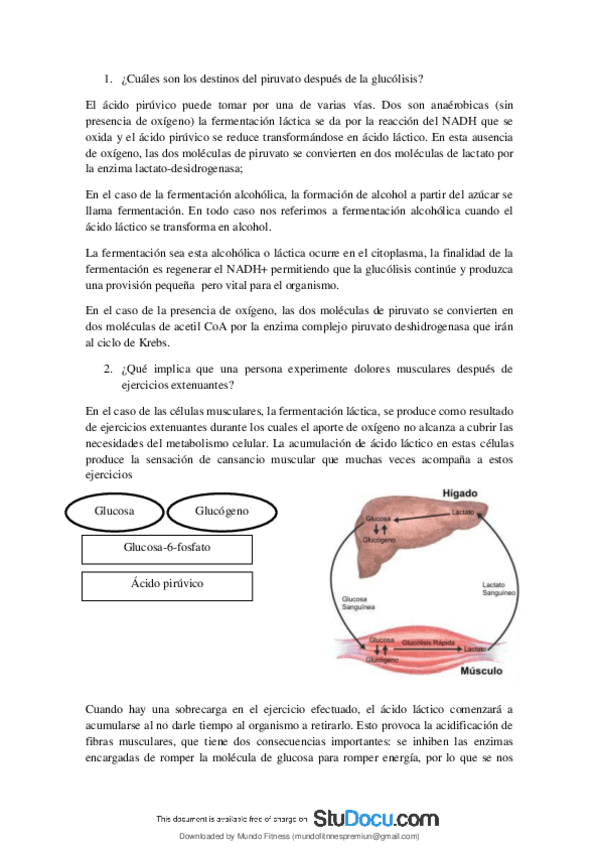Miniatura del documento Cuales-son-los-destinos-del-piruvato-despues-de-la-glucolisis.pdf