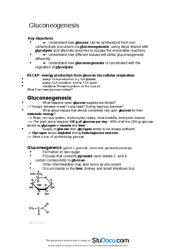Miniatura del documento Gluconeogenesis.pdf