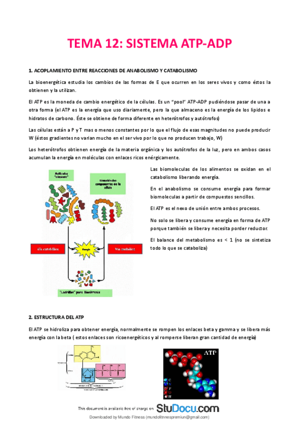 Miniatura del documento Tema-12-Sistema-ATPADP.pdf