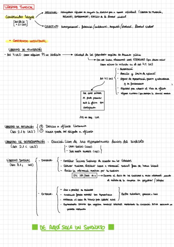 Miniatura del documento Esquema-Libertad-Sindical.pdf