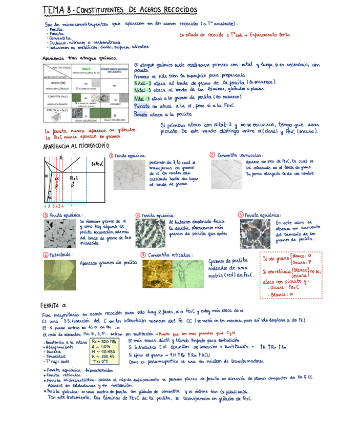 Miniatura del documento TEMA-8-Constituyentes-de-aceros-recocidos.pdf