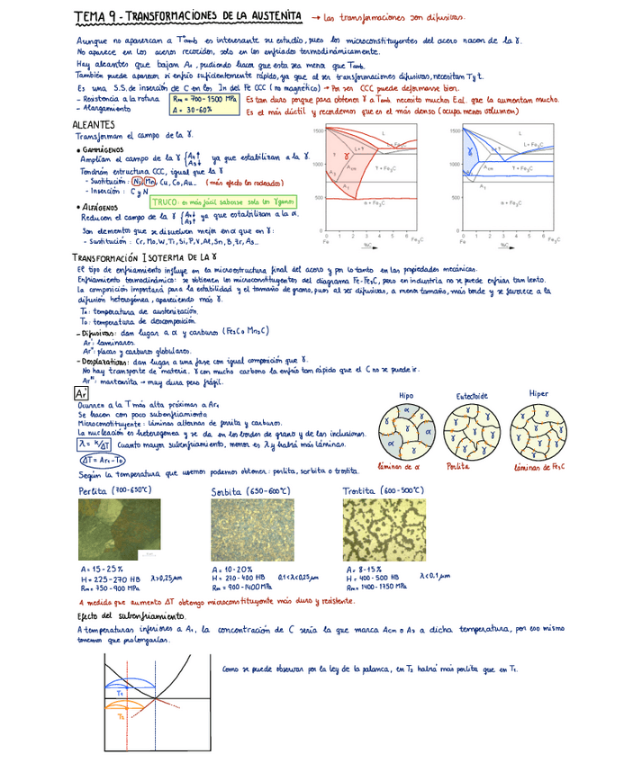 Miniatura del documento TEMA-9-Transformaciones-de-la-austenita.pdf