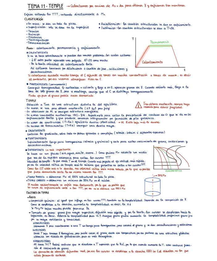 Miniatura del documento TEMA-11-Temple-.pdf