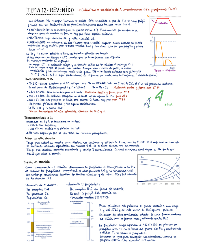 Miniatura del documento TEMA-12-Revenido.pdf