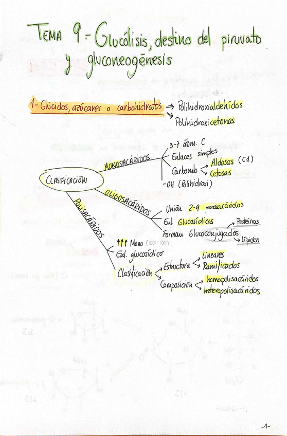 Miniatura del documento Apuntes-bioquimica-a-mano.pdf