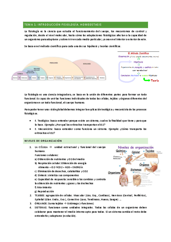 Miniatura del documento Tema-1.pdf