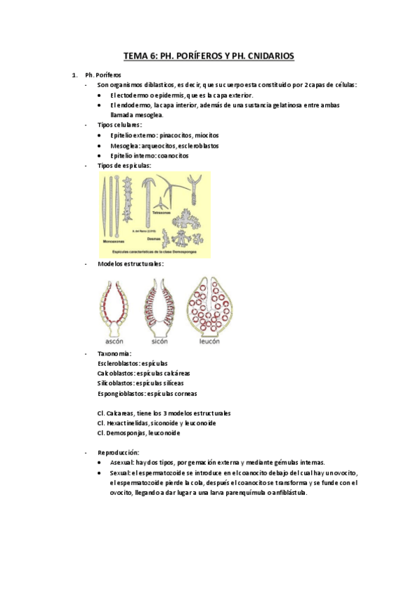 Miniatura del documento Tema-6.pdf