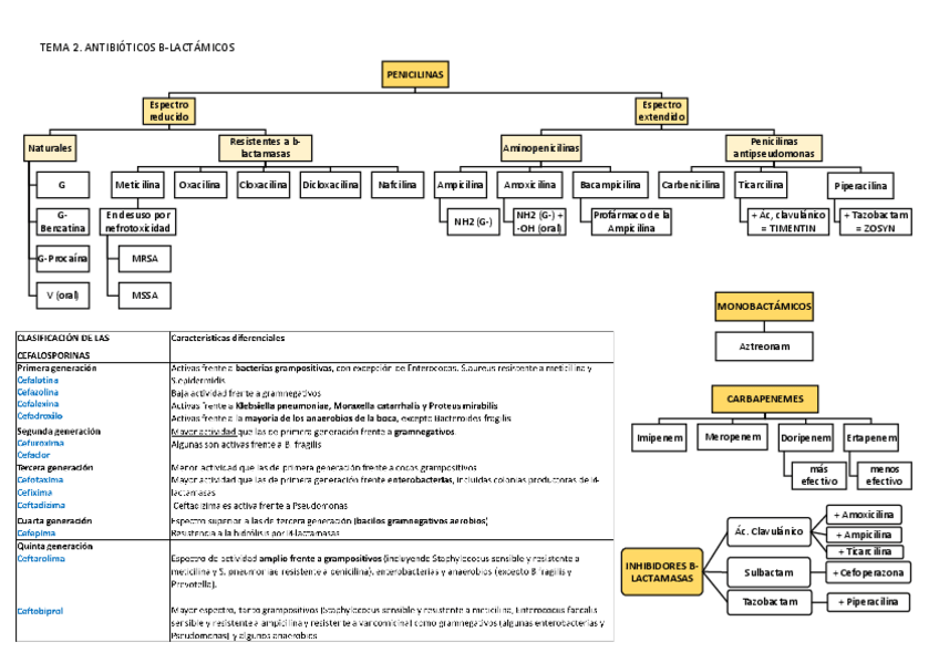 Miniatura del documento B-lactamicos.pdf