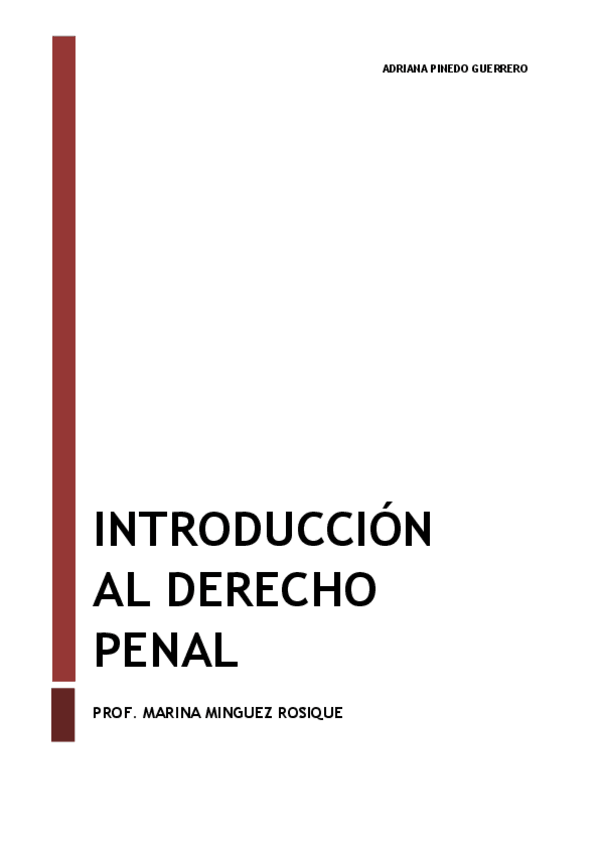 Miniatura del documento APUNTES-COMPLETOS-INTRO-PENAL.pdf