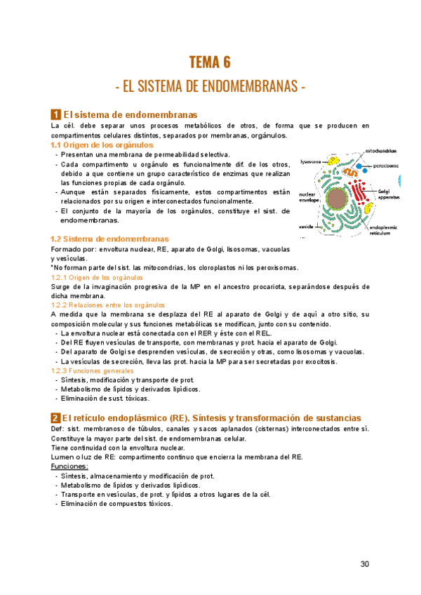 Miniatura del documento TEMA-6-BIOLOGIA.pdf