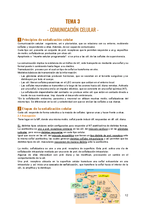 Miniatura del documento TEMA-3-BIOLOGIA.pdf