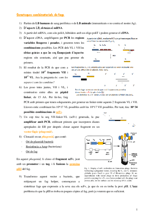 Miniatura del documento Tema-9.pdf