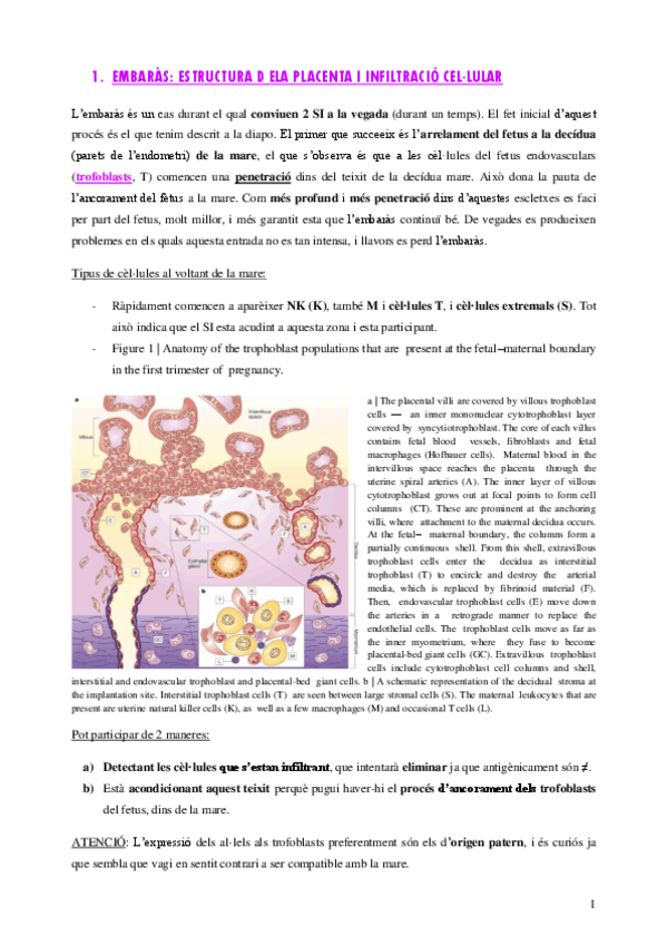 Miniatura del documento Tema-8.pdf