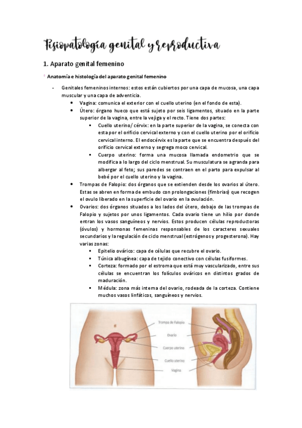 Miniatura del documento TEMA-12-FISIOPATOLOGIA-GENITAL-Y-REPRODUCTIVA.pdf