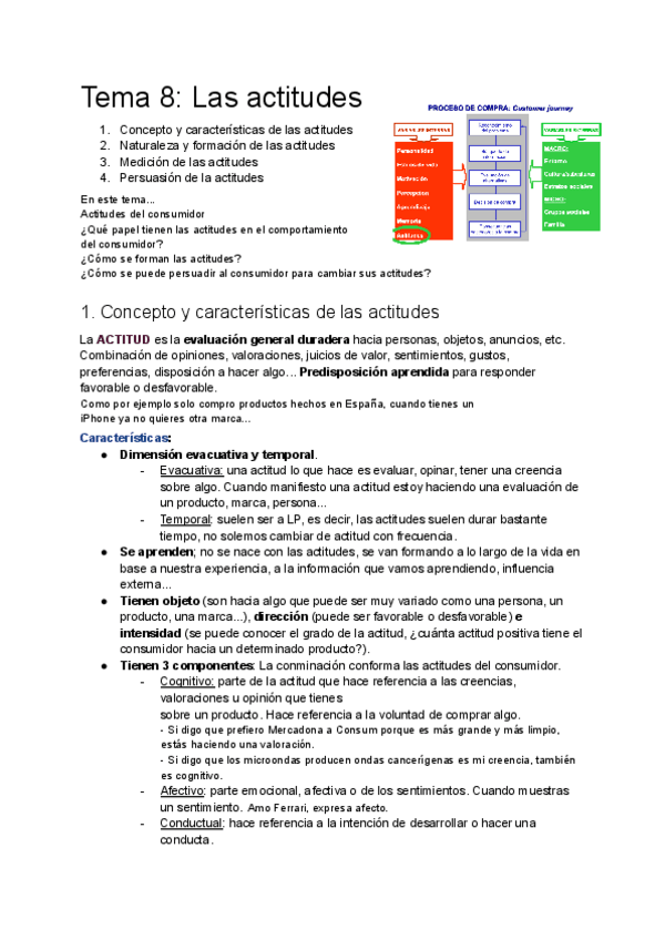 Miniatura del documento Resumen-TEMA-8-Comportameinto-del-Consumidor.pdf