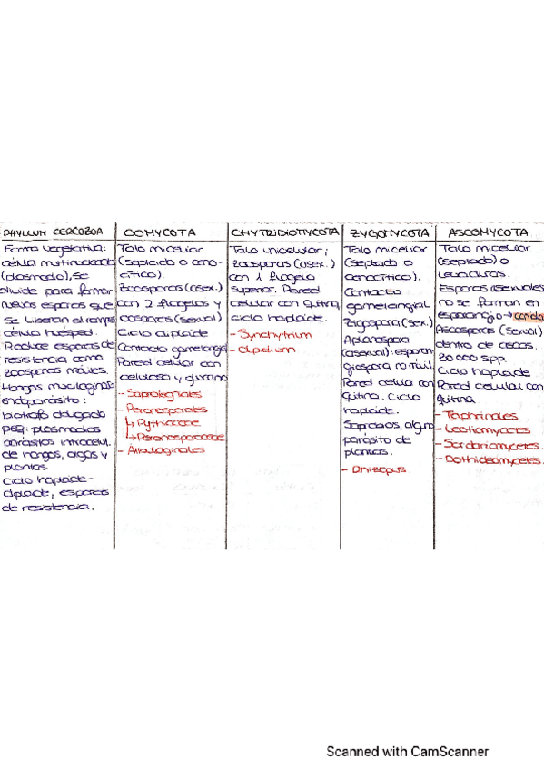 Miniatura del documento Cuadro-Resumen-Hongos.pdf
