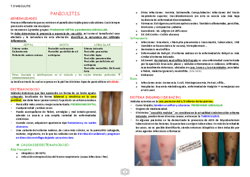 Miniatura del documento PANICULITIS.pdf