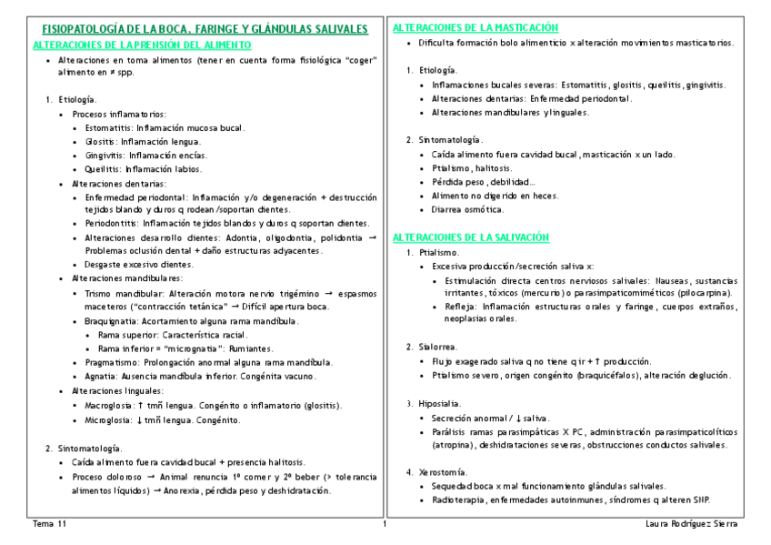 Miniatura del documento TEMA-11.pdf