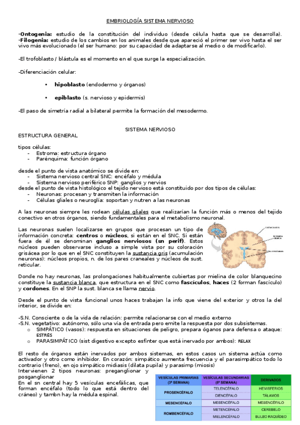 Miniatura del documento embrio2ocuatridef.docx
